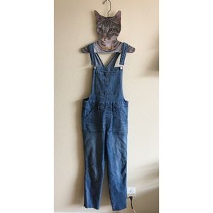 NEW Madewell Skinny Overalls in Kemp Wash